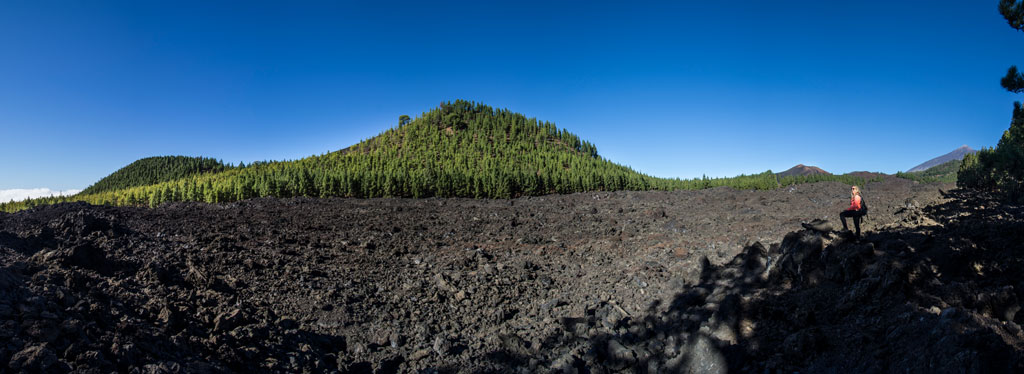 Champ de lave et forêt verte à Vilaflor, Tenerife, avec un ciel dégagé.