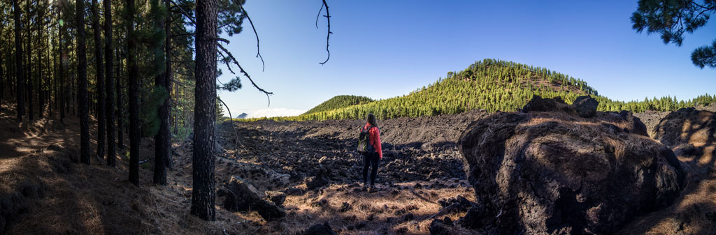 Personne debout dans un paysage volcanique avec des pins à Tenerife.