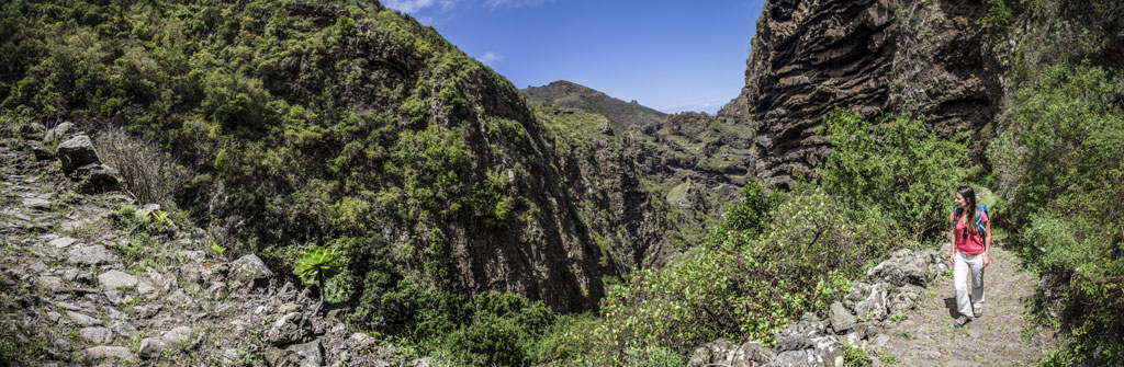 Sentier montagneux entouré de végétation dans le Barranco de Masca, à Tenerife.