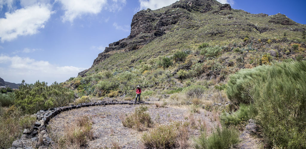 Sentier de montagne dans le parc rural de Teno, Tenerife, avec un randonneur solitaire.