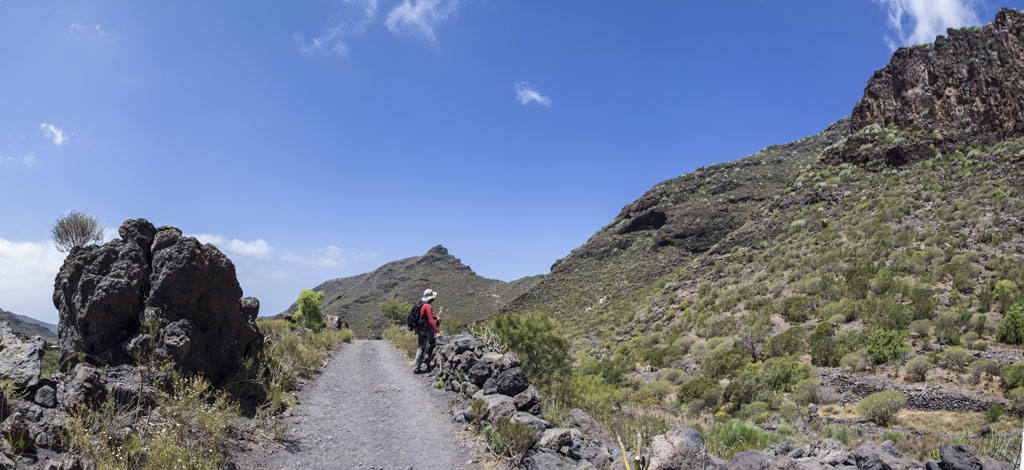 Sentier de montagne avec une seule personne à pied, entouré de rochers et de végétation à Tenerife.