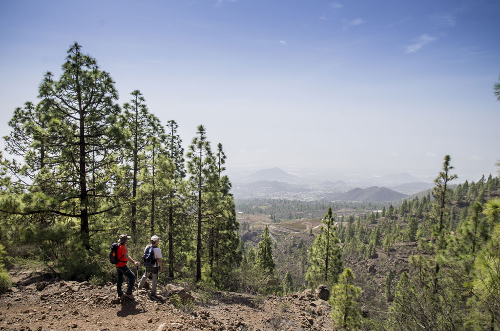 Des randonneurs dans une forêt de pins surplombant le paysage montagneux de Tenerife.