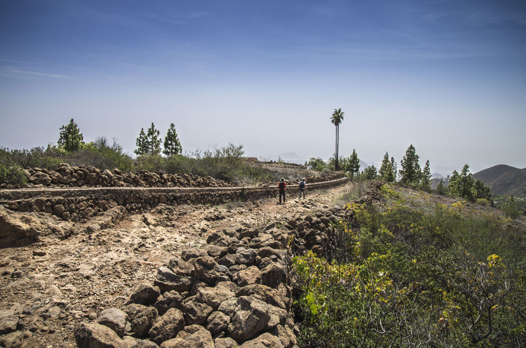 Sentier rocheux avec des randonneurs et verdure à Tenerife sous un ciel dégagé.