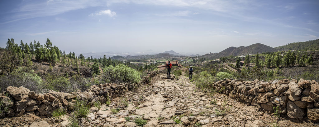 Un sentier rocheux entre les arbres dans un paysage montagneux de Tenerife.