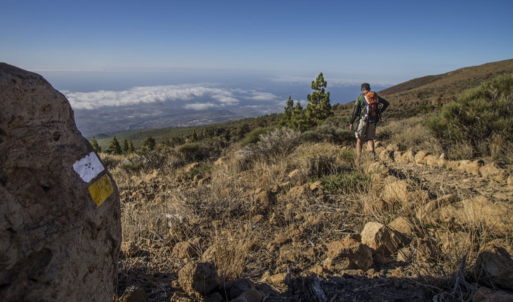 PR-TF 86 Villa de Arico - Cumbre de Arico