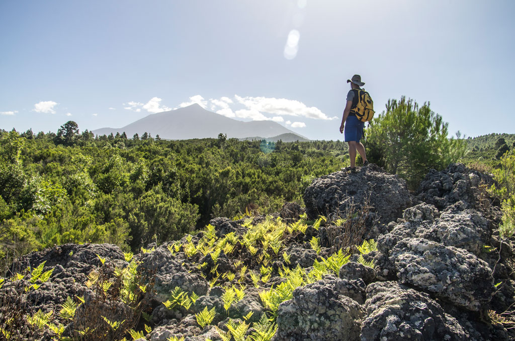 Personne avec un sac à dos regardant le paysage montagneux de Tenerife.