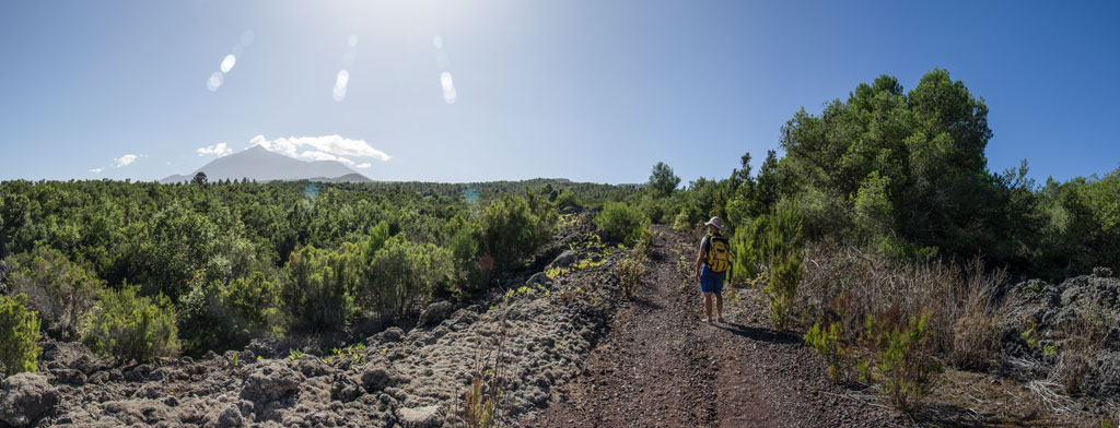 Un sentier entouré de verdure avec une personne à pied et le mont Teide en arrière-plan à Tenerife.