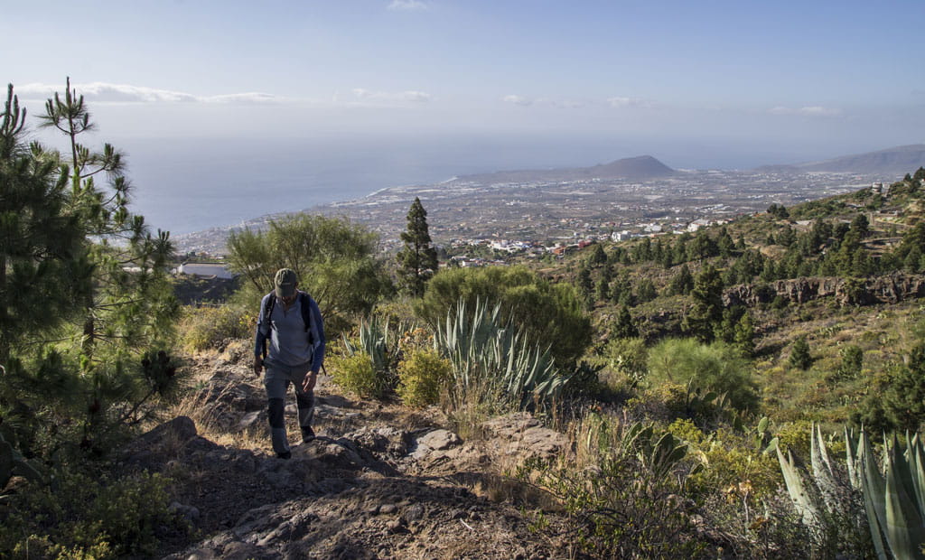 SL-TF 294  Los Brezos