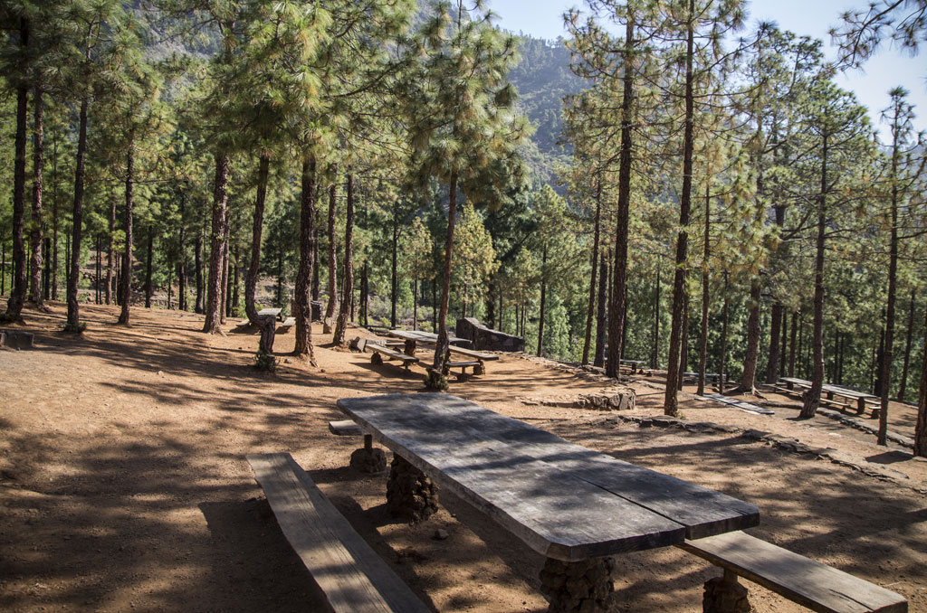 SL-TF 294  Los Brezos