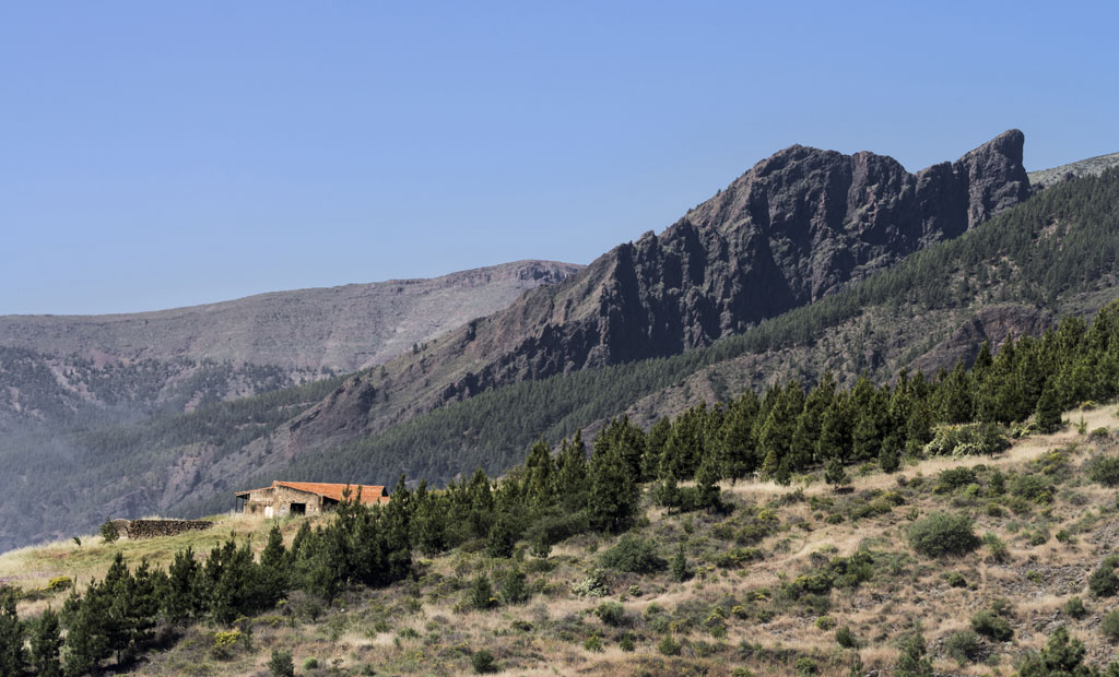 SL-TF 294  Los Brezos