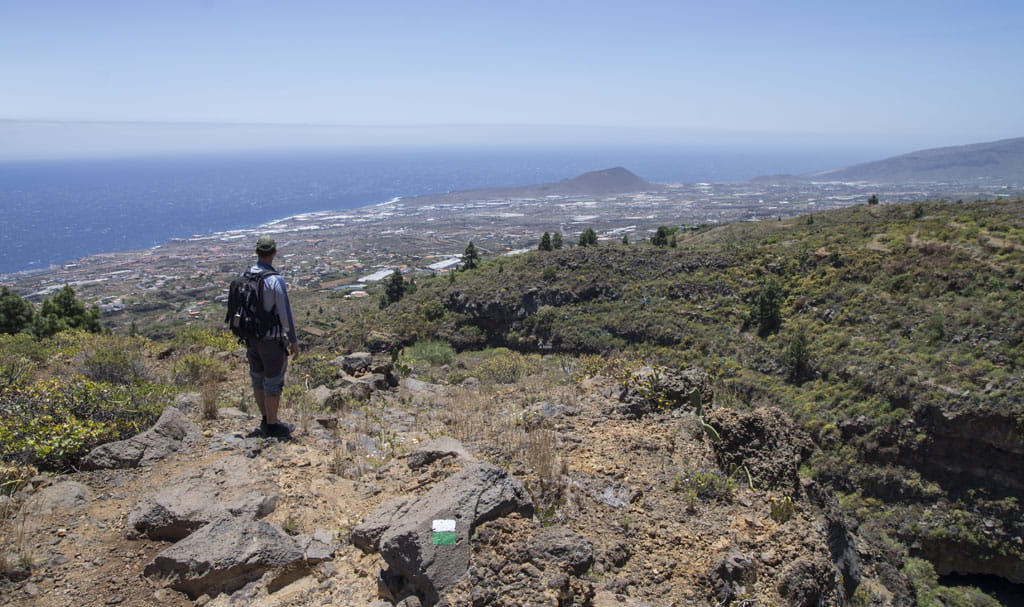 SL-TF 294  Los Brezos