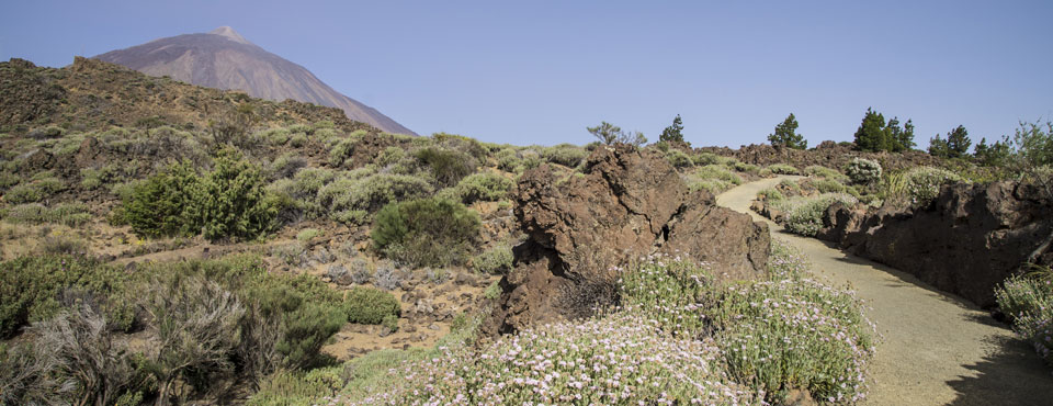 Parque Nacional del Teide - Tramo accesible Jardín Botánico