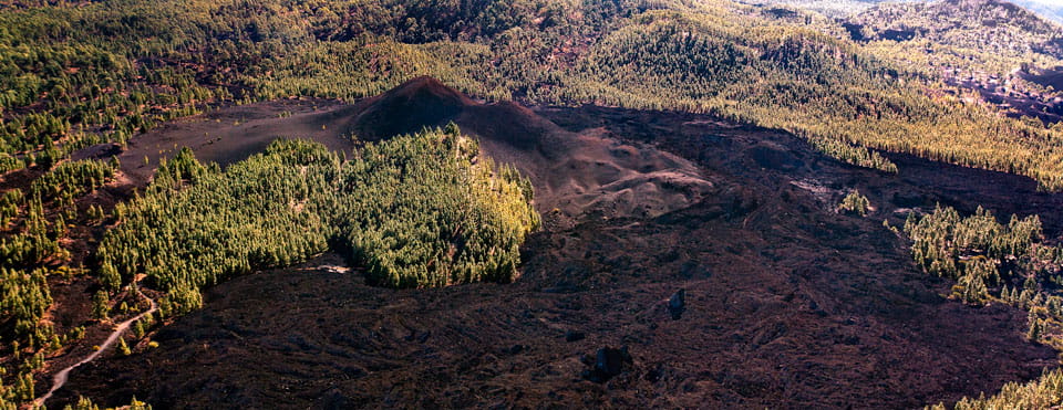 Una procesión milagrosa