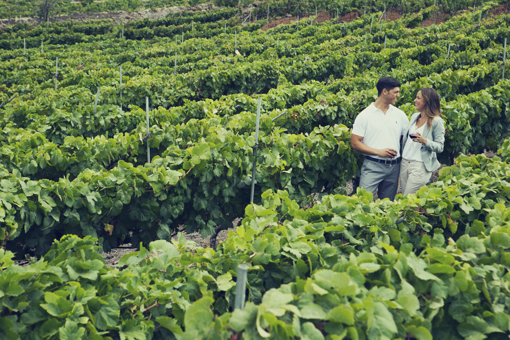 Un couple savourant du vin dans un vignoble à Tenerife.