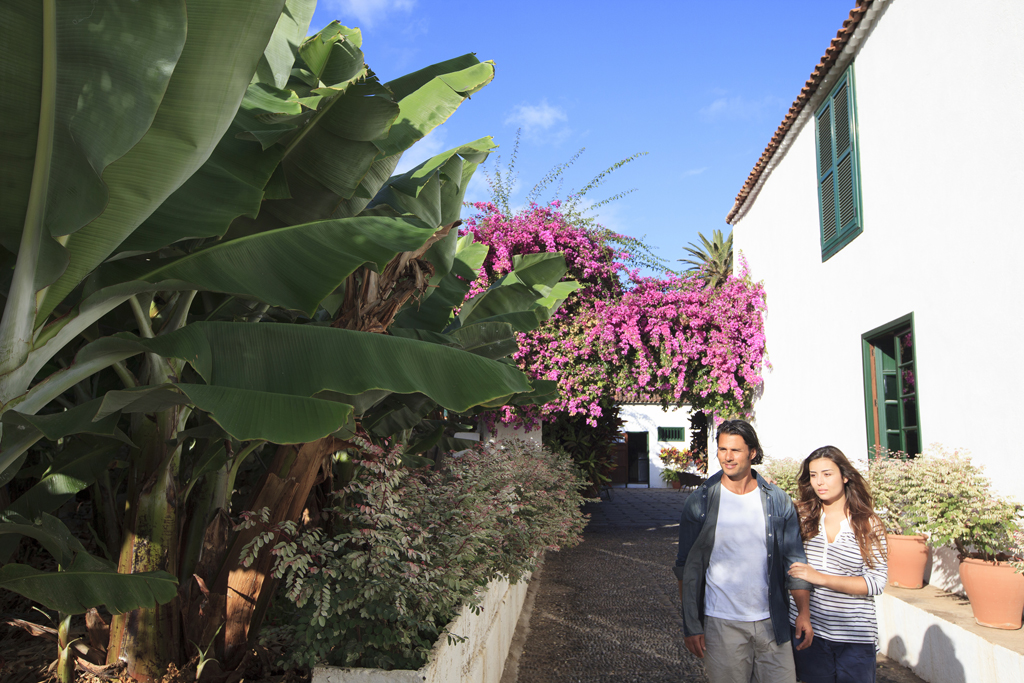 Un couple marchant à côté de bananiers et de bougainvilliers à Tenerife.