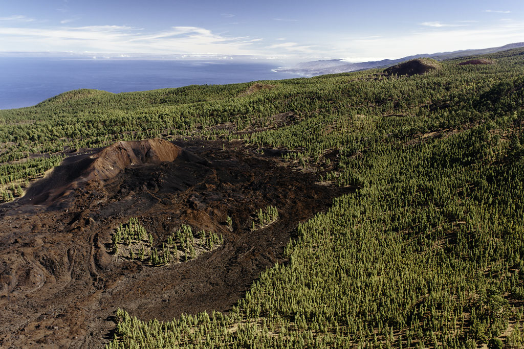 Cratère volcanique entouré de forêt à La Palma, Tenerife, avec la mer en arrière-plan.