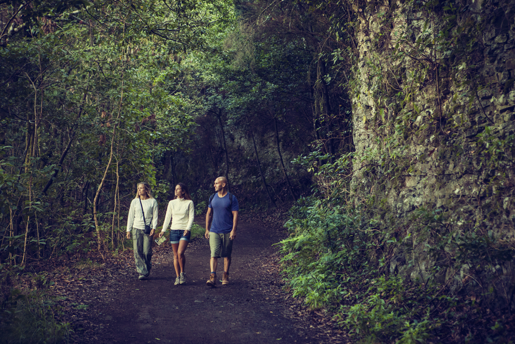 Des gens marchant le long d’un sentier entouré de verdure à Tenerife.