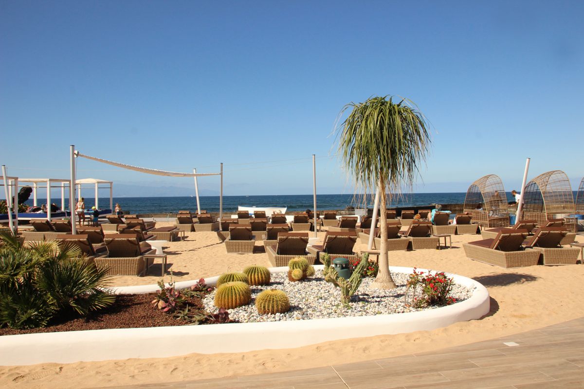 Plage avec hamacs, palmiers et cactus à Tenerife. Mer en arrière-plan.