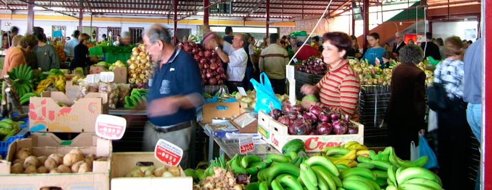 Mercadillo del Agricultor de Tacoronte
