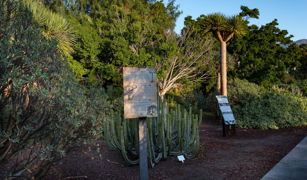 Panneau informatif entre cactus et plantes dans le Jardin botanique de Tenerife.