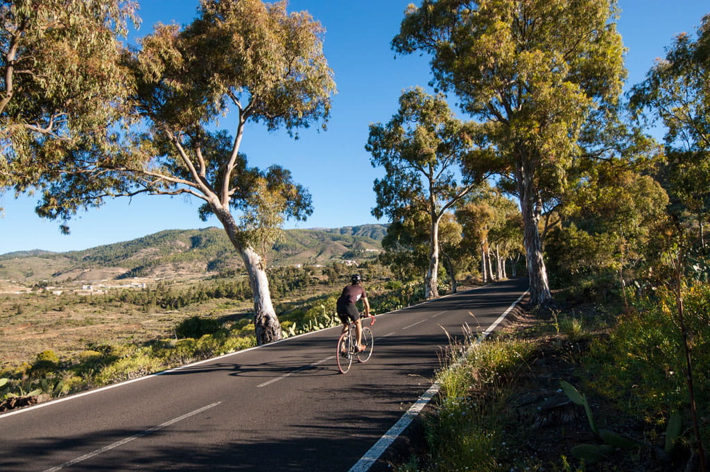 Sur Alta: Costa Adeje - Trasera de Los Cristianos - Carretera General del sur - La Camella - Granadilla - Vilaflor - Arona - Trasera de Los Cristianos - Costa Adeje