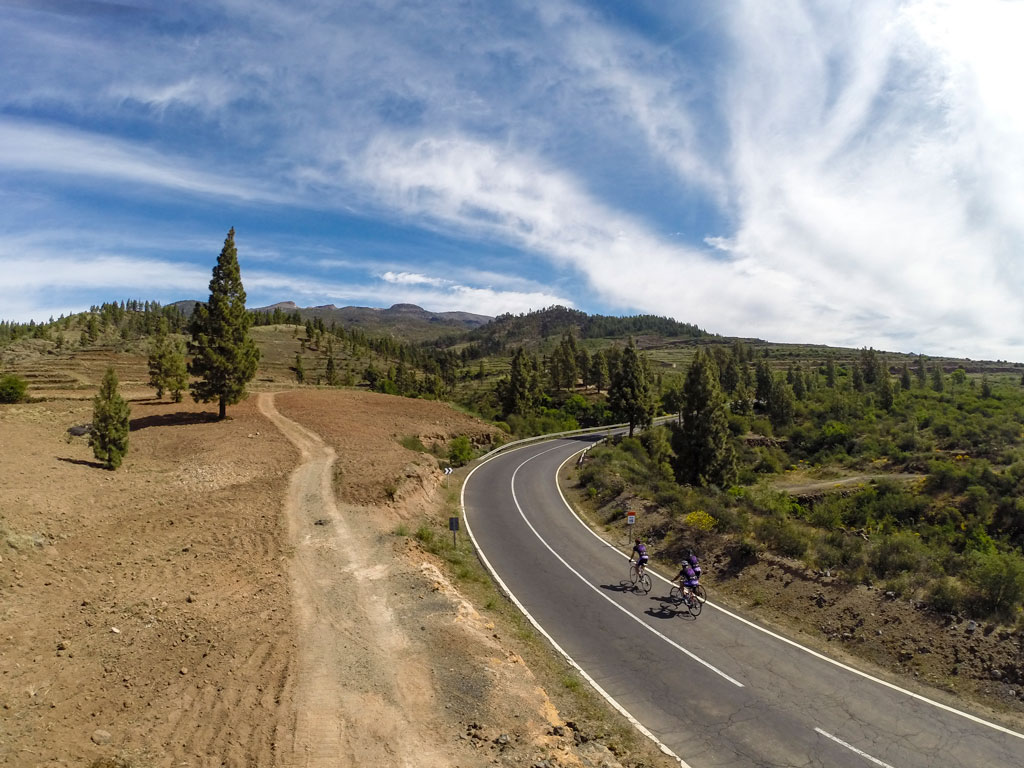 Les cyclistes empruntent un sentier sinueux entouré d’arbres dans un paysage de Tenerife.