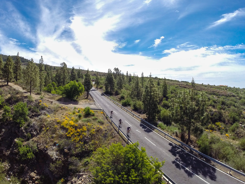 Route entourée d’arbres et de cyclistes en mouvement à Tenerife.