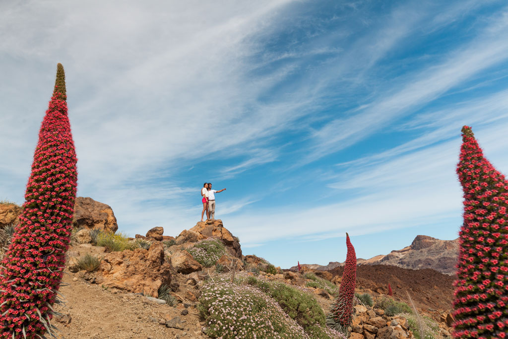 Pico del Teide à Tenerife avec des fleurs de tajinaste rouges et deux personnes observant le paysage.