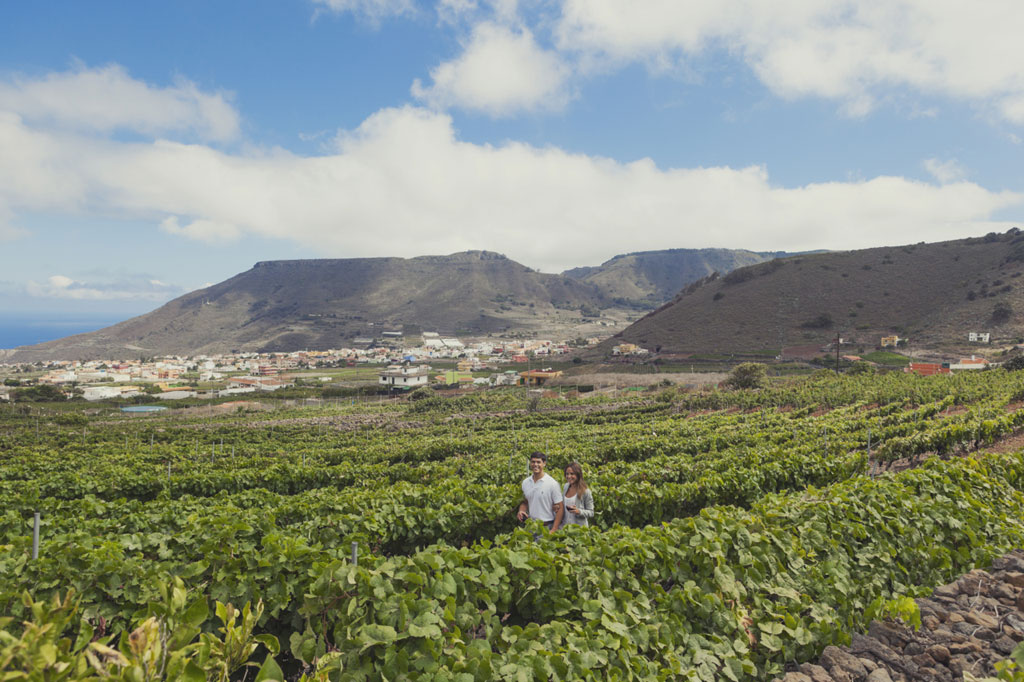 Des gens se promenant parmi des vignobles dans une vallée de Tenerife avec des montagnes en arrière-plan.