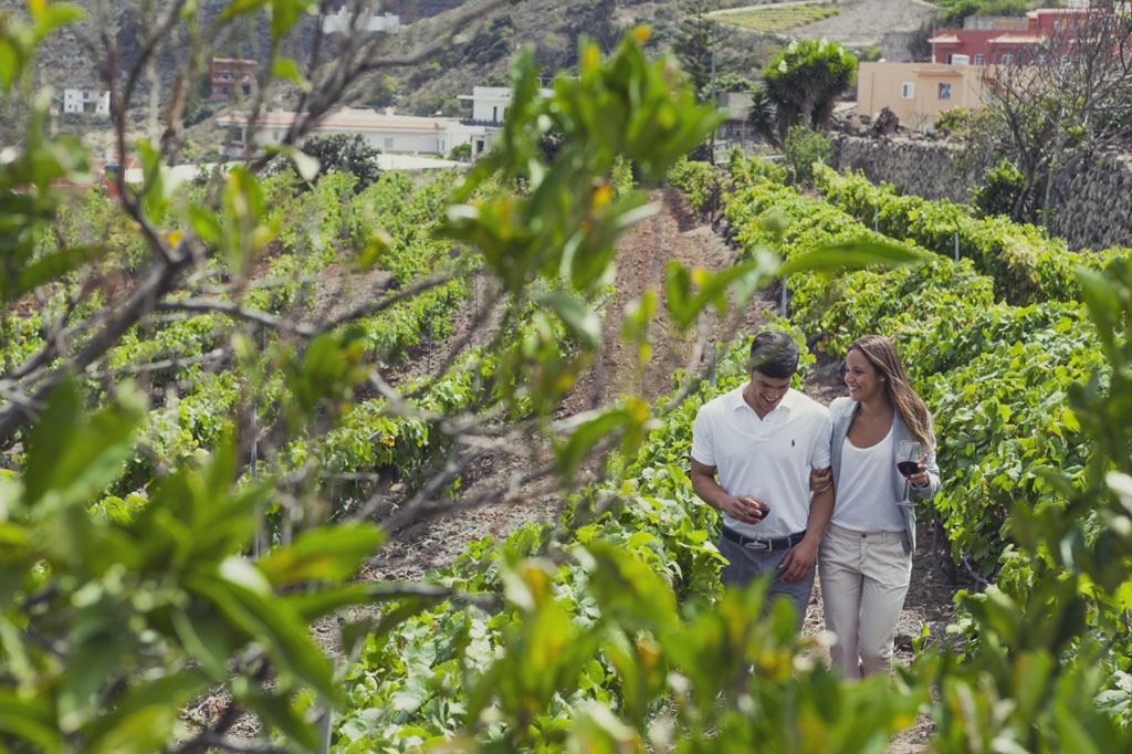 Un couple se promenant parmi les vignobles de Tenerife, tenant des verres de vin.