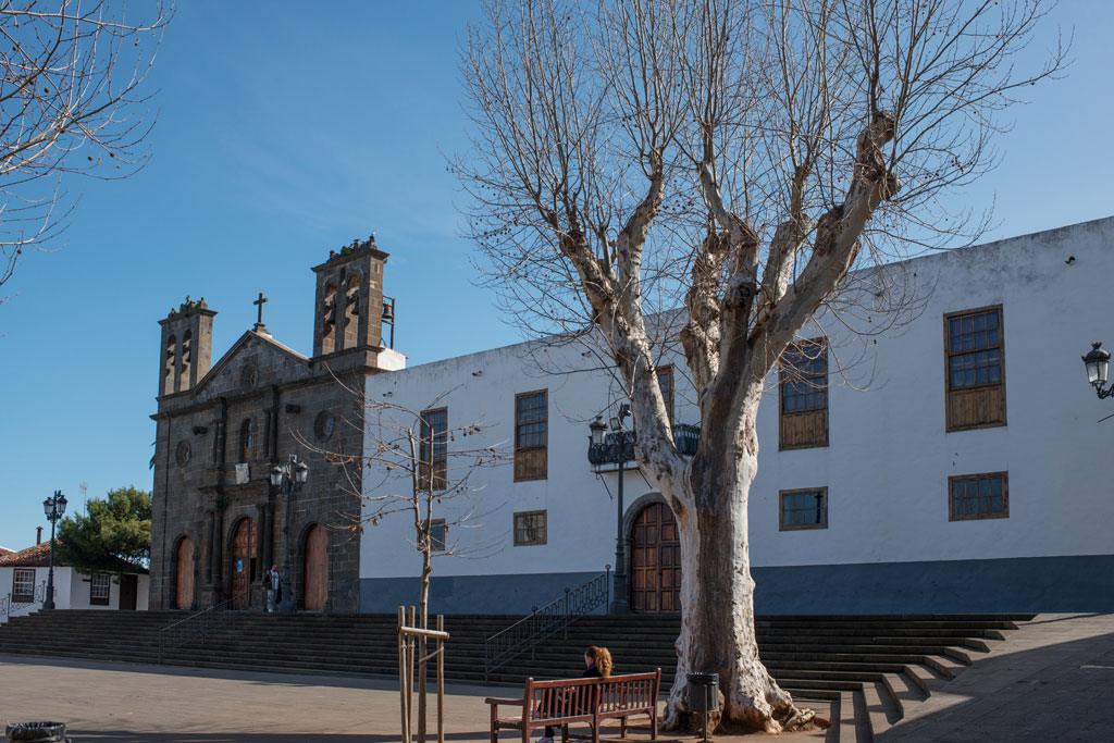 L’église San Antonio de Padua à Granadilla de Abona, Tenerife, et un arbre sur la place.