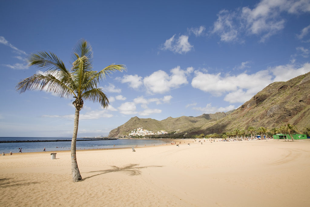 Playa de las Teresitas à Tenerife avec des palmiers et des collines en arrière-plan.