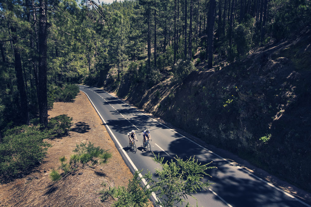 Des cyclistes sur une route entourée d’arbres à Tenerife.