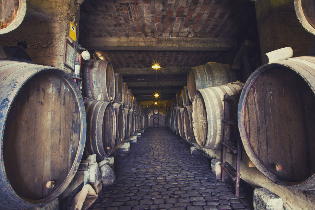 Cave souterraine à vin avec des fûts à vin à Tenerife.