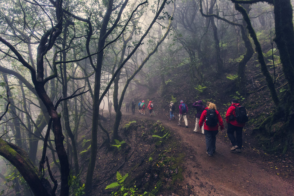 Des gens marchant le long d’un sentier boisé à Anaga, à Tenerife.