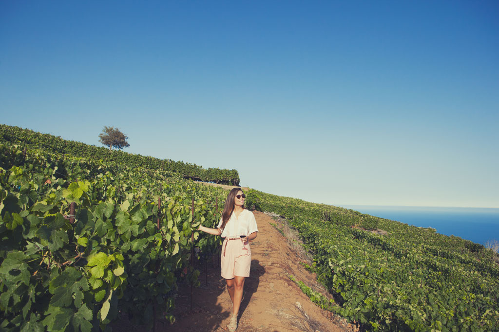 Femme marchant parmi les vignobles de Tenerife, avec la mer en arrière-plan.