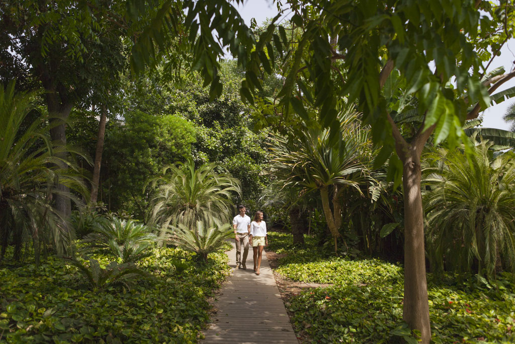 Un couple marchant le long d’un sentier entouré de verdure à Tenerife.