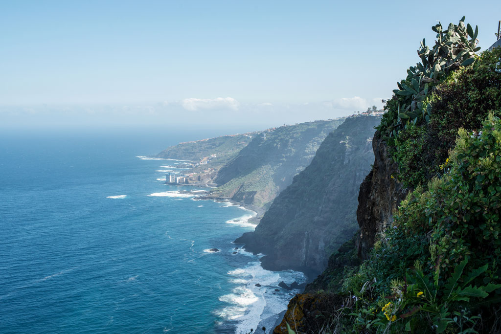 Falaises avec végétation au bord de la mer à Tenerife.