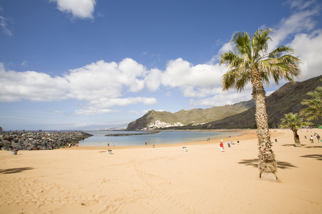 La plage de Las Teresitas avec des montagnes et des palmiers en arrière-plan à Tenerife.