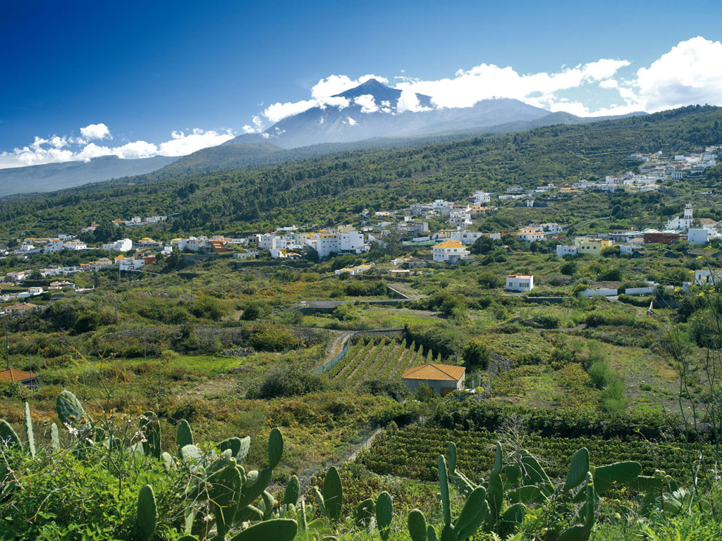 Paysage d’Icod de los Vinos avec le mont Teide en arrière-plan à Tenerife.