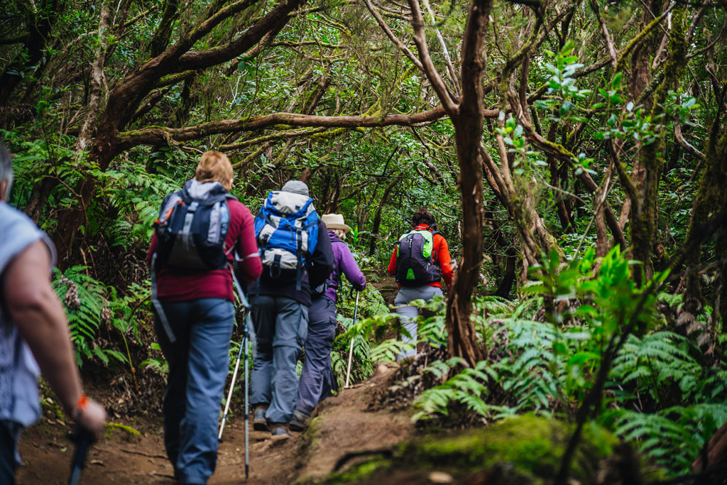 Des gens marchant le long d’un sentier boisé à Anaga, à Tenerife.
