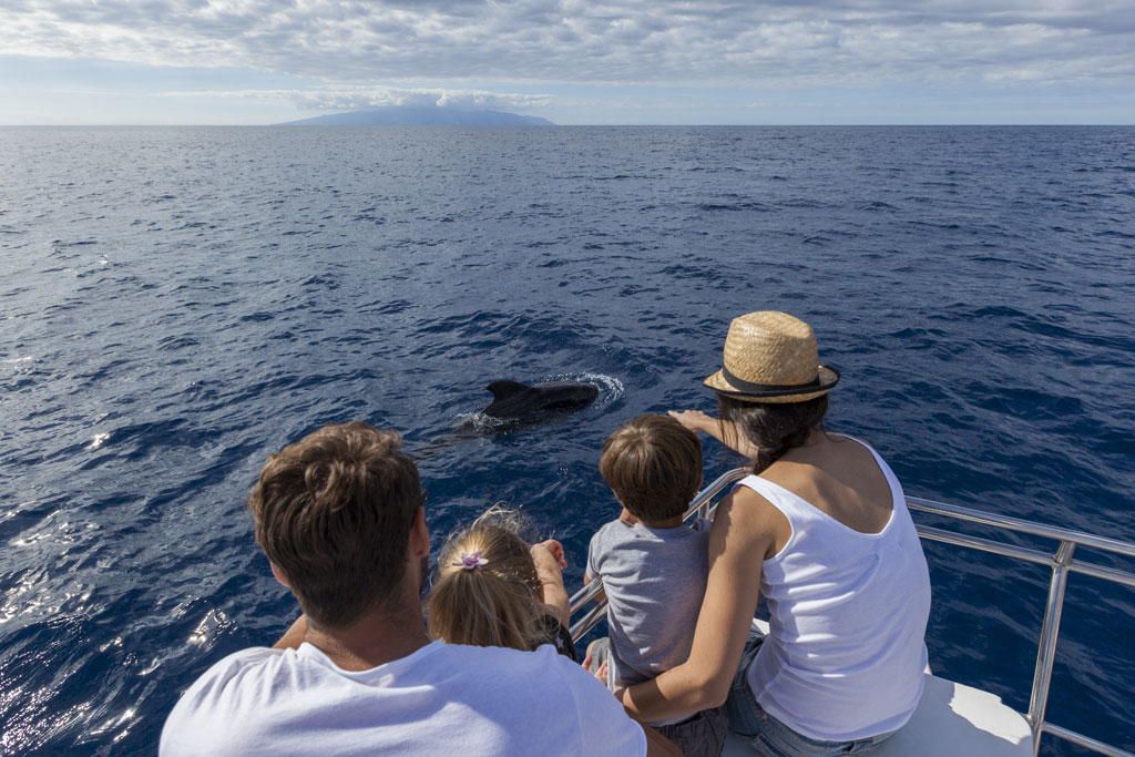 Famille observant les dauphins dans la mer près de Tenerife depuis un bateau.
