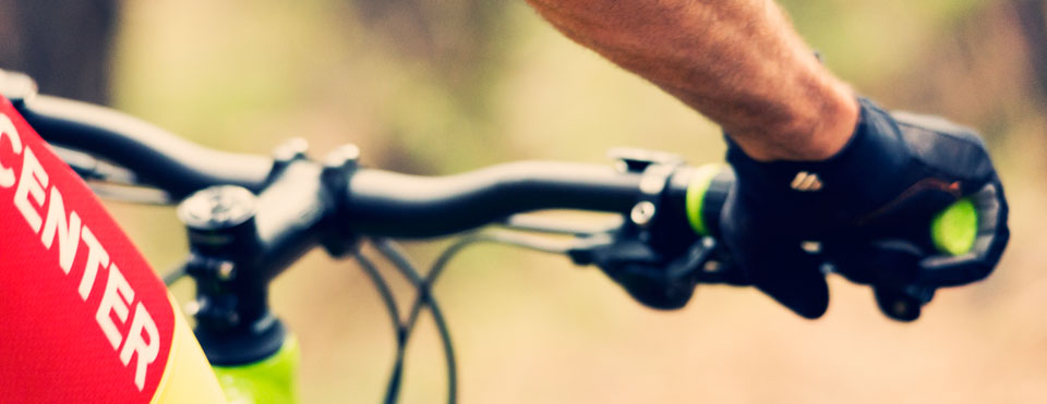 BC-3: Pinar de Chío