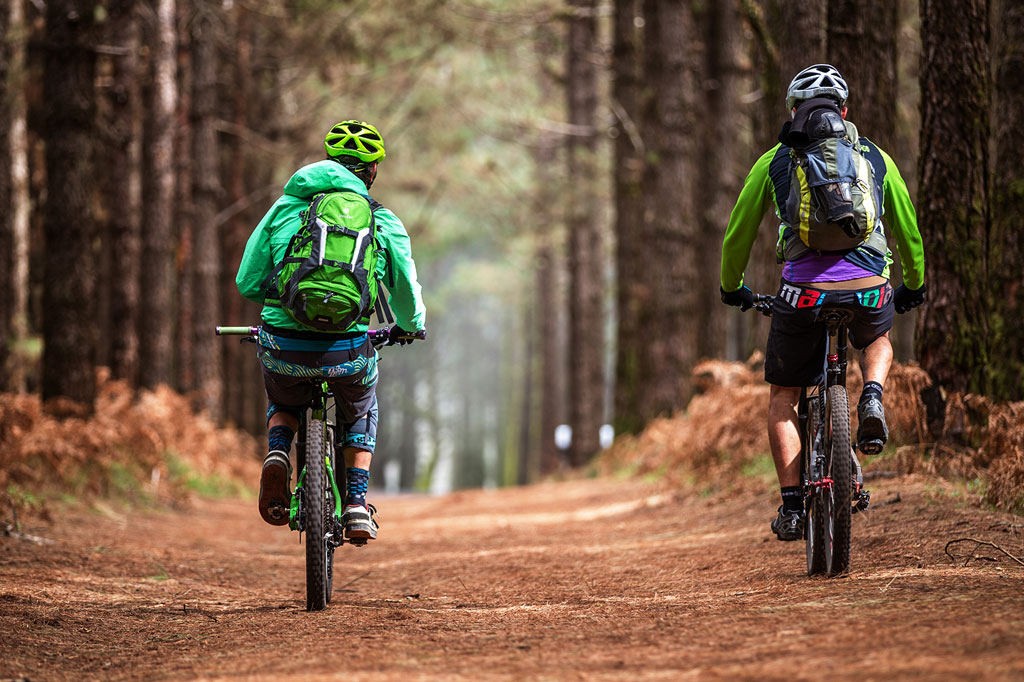 Deux cyclistes parcourent un sentier forestier à La Esperanza, à Tenerife.