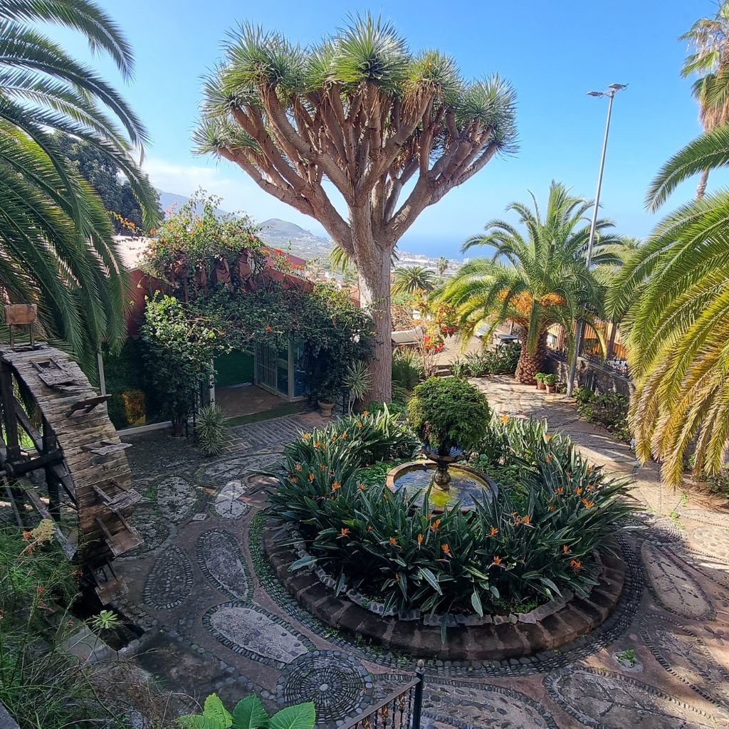 Jardin avec dragonier et palmiers à La Orotava, Tenerife.