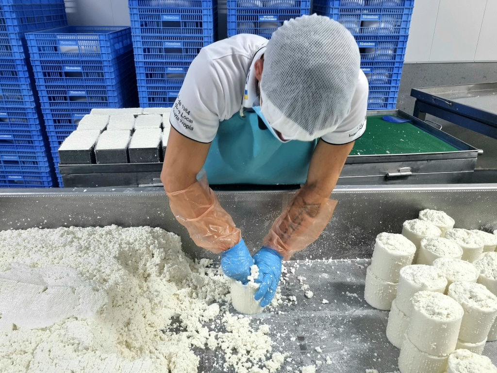 Personne qui moule du fromage frais dans une usine à Tenerife.