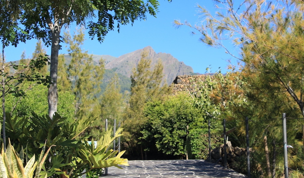 Un chemin pavé entouré d’arbres avec une montagne en arrière-plan à Tenerife.