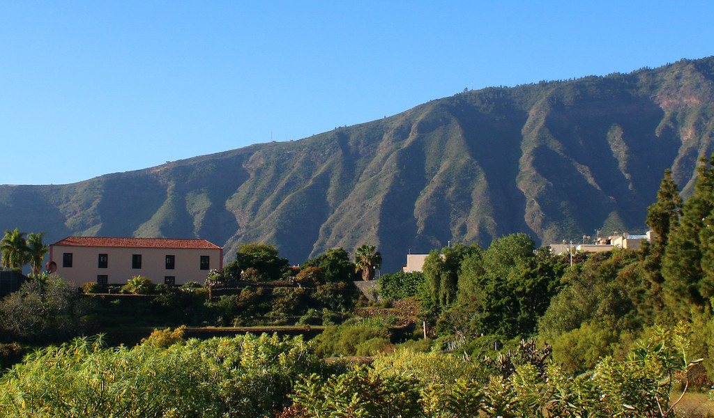 Paysages montagneux et végétation à La Orotava, Tenerife.