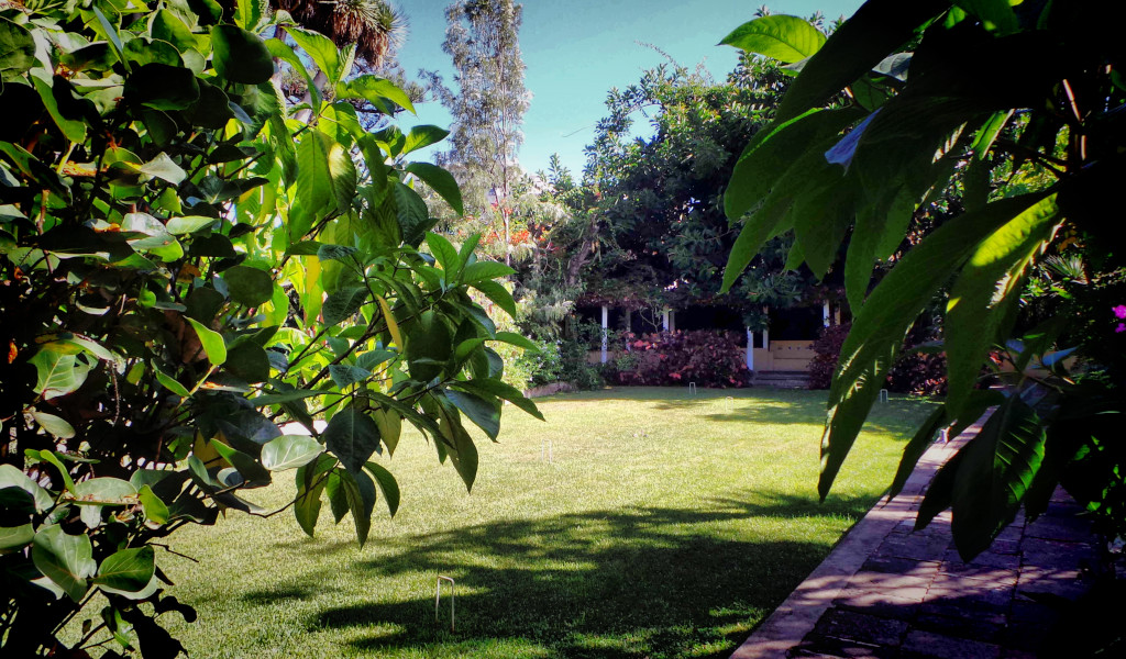Jardin avec pelouse et arbres dans un parc à Tenerife.