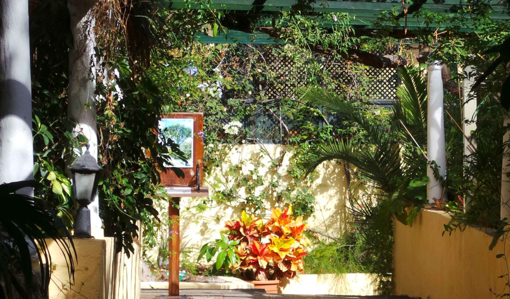 Patio avec plantes et peintures au Jardin botanique de Tenerife.